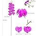 Fnize Artificial Orchid Stems Real Touch Latex Phalaenopsis Branches Faux Cymbidium Flowers 9 Large Petals 38 Inches 2pcs (Rose red)