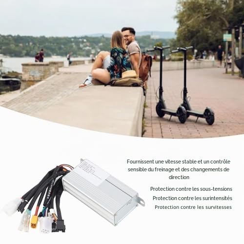 Contrôleur de Double Entraînement pour Scooter électrique, Contrôleur de Moteur de Vélo électrique 48V 800W, Module de Commande Principal T4 DB L148