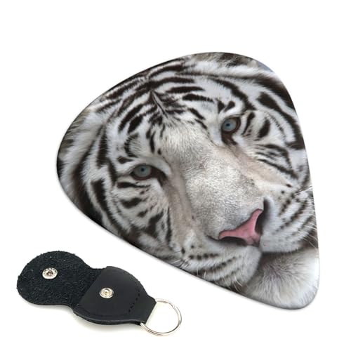 ~̔ 킢GLM^[sbN Abs fރGARy 0.71mm