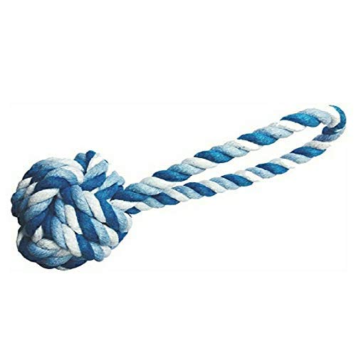 MS Pet House Dog Chew Cotton Rope Ball Toy for Small to Medium Dogs (Colour May Vary) (B0841P7NZ3) Amazon Price History, Amazon Price Tracker
