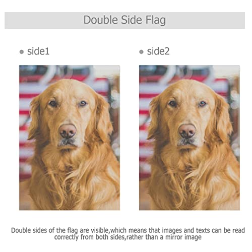 Hokkien Cool Golden Retriever Garden Flag Banner 12 X 18 Inch Decorative Garden Flag For Outdoor Lawn And Garden Home Décor Double-Sided #TOP3
