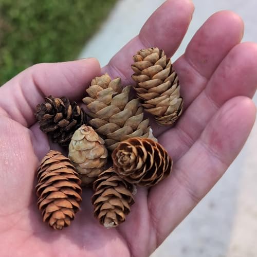 Personal Responsibility