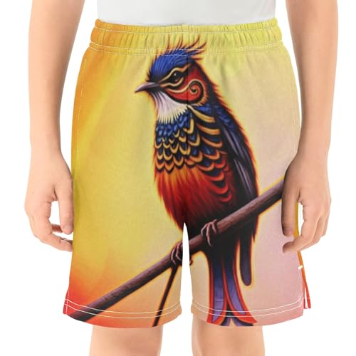 Colorful Bird Pull-On Kids Shorts Elastic Waist School Boys Thick Summer Shorts with Pockets XS2