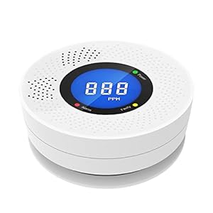 HAOKESITE Carbon Monoxide Detector ...
