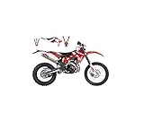 repuestos moto beta 150 Kit de decoración Blackbird Dream Graphic 4 – 2B03N (sin funda de sillín) Beetarr 250-300-350- 2013/17RR 390-430-480- 2015/17RR 400-450-498- 2013/14.