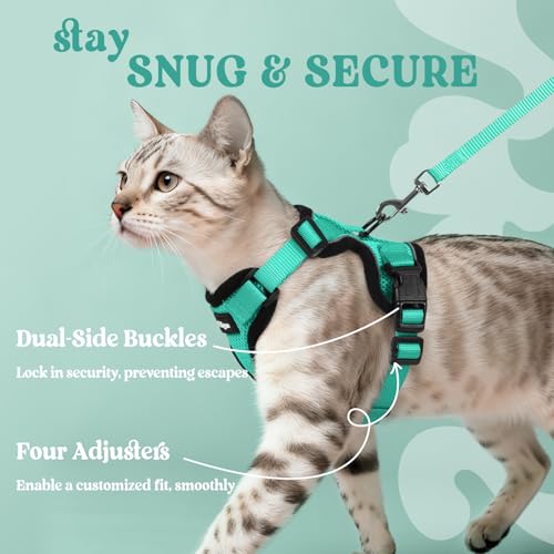 Image of rabbitgoo Cat Harness and Leash Set, Escape Proof Vest, Emerald | Soft Breathable Mesh, Easy Adjustable Fit, Snap Buckles, Sturdy Clip, Reflective Strips, for Small & Average Cats Walks, Xs
