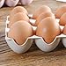 Egg Tray Fresh Preservation Multipurpose 3 Rows Space Saving Egg Storage Container for Kitchen Refrigerator