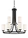 Z-Lite 435-9BRZ 9 Light Chandelier, Bronze