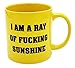 Island Dogs I Am A Ray of Fucking Sunshine Coffee Mug