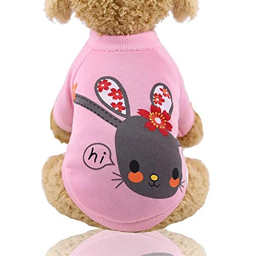 KUTKUT Cute Mouse Cartoon Print Fashion Fleece Soft Sweatshirt for Small Dog and Cat (Size: XL, Chest: 47 cm, Back Length: 33cm) (B096FL6743) Amazon Price History, Amazon Price Tracker