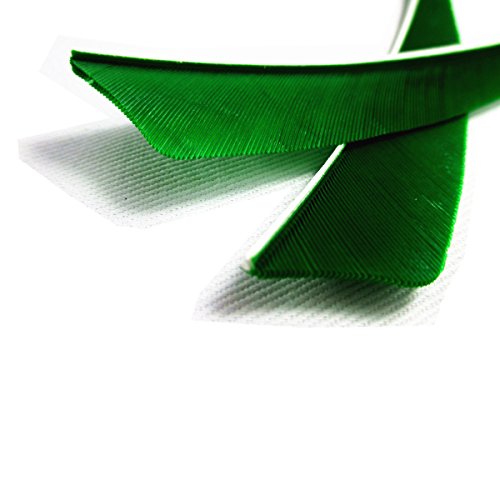 image for Letszhu Archery Arrows Feather Fletching 4 Inch Real Turkey Vanes for 