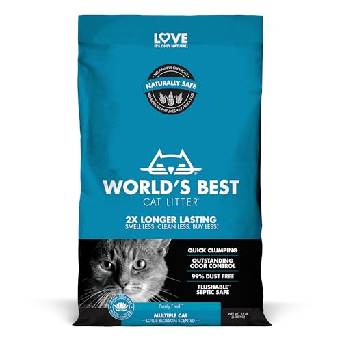 Pretty Cat Litter The 15 best products compared Wild Explained