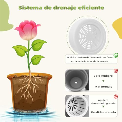 La mejor comparación de Macetas economicas disponible en línea para comprar. 29 La mejor comparación de Macetas economicas disponible en línea para comprar. 27