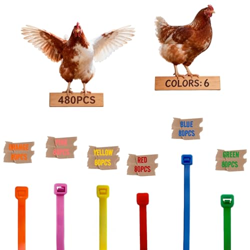 ARMLCL Vibrant 480Pcs Chick Chicken Leg Bands - Easily Identify Your Poultry with Colorful Leg Bands -Durable and Bright Colors Long-Lasting Visibility - Perfect for Chicken Duck and Goose Owners