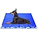 Lauva Tappetino Refrigerante per Cani Gatti Ghiaccio Extra Grande 91x86cm, Auto-raffreddante Tappetino Refrigerante in Gel Attivo, Ideale per Cani e Gatti Cuccioli Animali Domestici