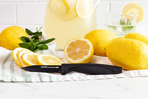 Ginsu Daku Series Dishwasher Safe, Fade Resistant, Black Ceramic Coated, 10 Piece Block Knife Set (Dak-Kb-Ds-010-1) #TOP4