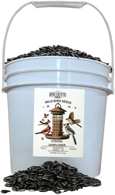 Striped Sunflower Bird Seed - 18 lbs Pail Ideal for Wild Bird Food, for Attracting Songbirds and More