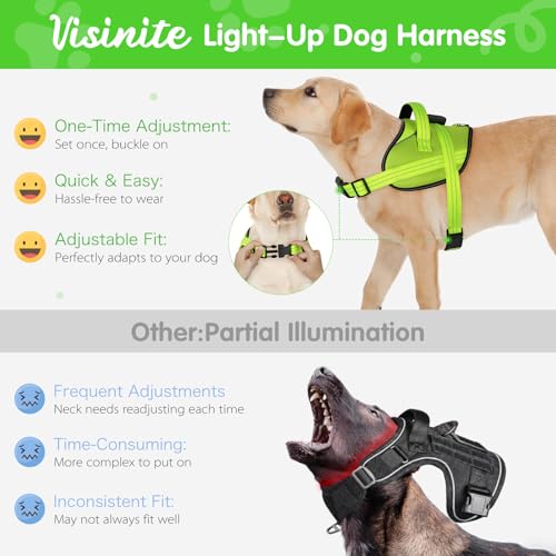 Light Up Hundegeschirr, No-Pull Led Hundegeschirr Wiederaufladbar, Reflektierend Leuchtgeschirr für Hunde, Einstellbar & Komfort Gepolstert für Sicherheit beim Nachtspaziergang (Grün, L)