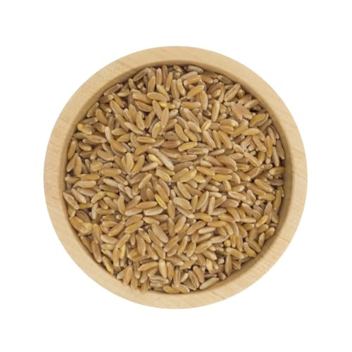 Bio Kamut | Khorasan Weizen | ab 500g