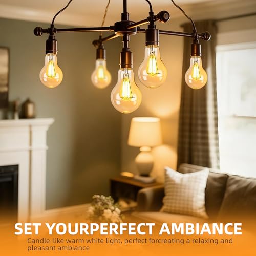 Hoimuv 100 Watt Incandescent Light Bulbs, A19 Clear Incandescent Rough Service Light Bulb,A19 100 WATT Incandescent Bulb Shatter Resistant Rough Service Light Bulb 100 WATTS A19 Shape (4)