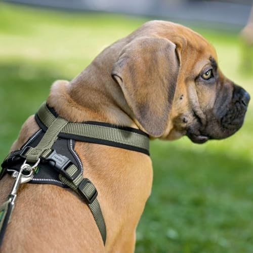 HUNTER Hundegeschirr NEOPREN, Farbe: oliv/schwarz, strapazierfähiges Nylon, mit weichem Neopren gepolstert, reflektierendes 3M Scotchlite Reflective Material, pflegeleicht, komfortabel, Größe: M/1