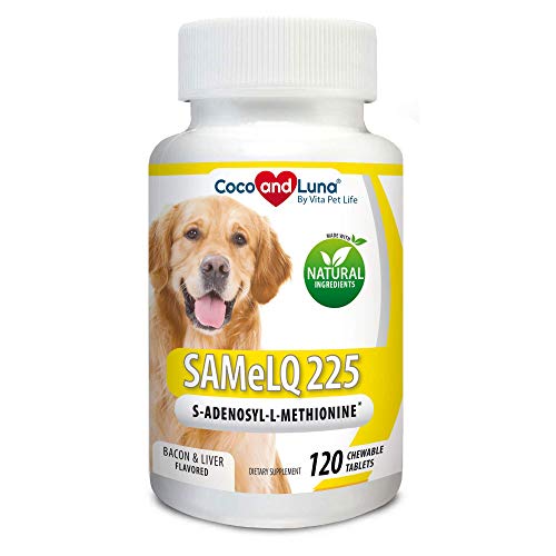 Best Same 400mg For Dogs