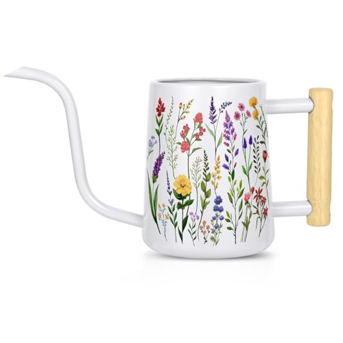 Image of Watering Can Indoor Plants, 35 oz /1000 ml Metal Stainless Steel Watering Can Pot with Long Spout for Indoor House Plants Bonsai Outdoor Garden Flower Decorative White Flowers