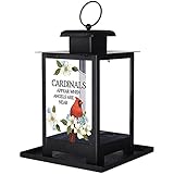 The Bridge Collection Cardinals Appear Bird Feeder - Memorial Window Bird Feeder with Glass Panes, Metal Basket Design for Indoor/Outdoor Use - A Sympathetic Gift to Remember Loved Ones
