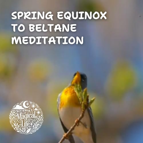 Spring Equinox to Beltane Meditation