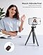 Lamicall Handy Stativ, Mini Stativ Halter - 2025 Handy Halterung Kamerastativ für Smartphone & Kamera, Flexible Handystativ mit Kabellose Fernbedienung, 360° Pocket Tripod für iPhone 16/15, für GoPro