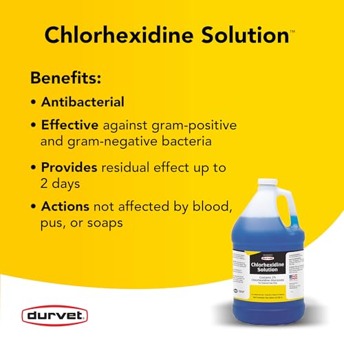 Chlorhexidine 2% for Horses & Dogs, One Gallon - Image 3