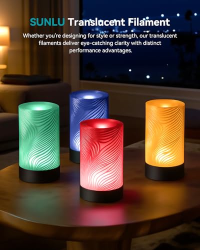 Image of SUNLU PETG Filament 1.75mm Bundle, Neatly Wound, Individually Vacuum Packed, 250g Spool, 4 Rolls, Transparent Series-Red+Blue+Green+Yellow