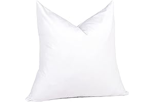 Pure Down 28x28 Goose Down Throw Pillow Insert Set of 2
