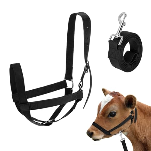 M METERXITY 1-Pack Adjustable Cattle Cow Calf Halter, 18.9"-23.23" Nylon Livestock Cow Halter with Leading Rope for Miniature Horse/Donkey/Goat/Cattle [Black]
