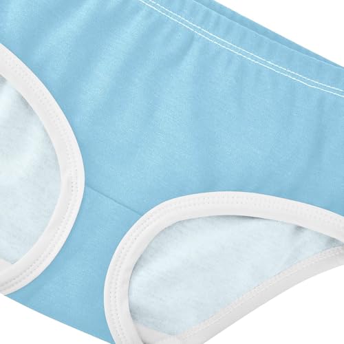Joisal Sky Blue Cute Toddler Girls Underwear 2t Cotton Girl Panties Cute Animals Kids Undies Briefs4