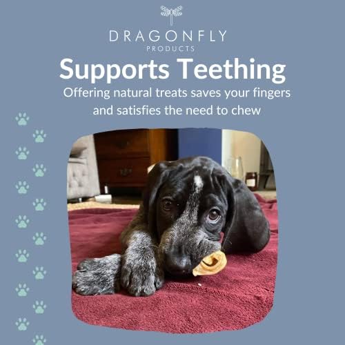 Dragonfly Products Natural Dog Treat Variety Pack | Puppy Chew| Healthy Chews for All Breeds of Puppies | 8 weeks plus | Grain Free & Hypoallergenic