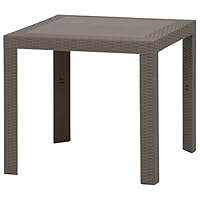 Amazon.co.jp: 不二貿易 ガーデン ステラテーブル プラスチック 80