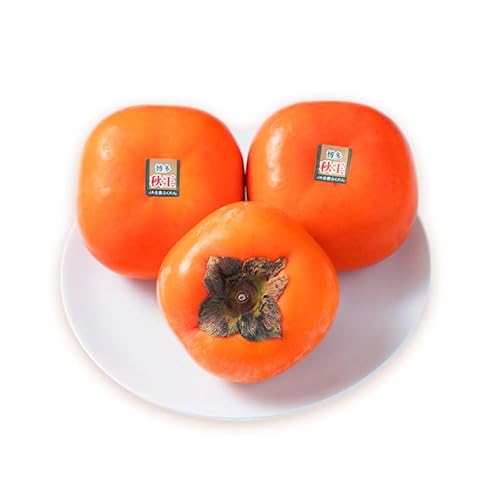 柿 福岡限定! ブランド柿「秋王(あきおう)」約1.5kg(4-6玉) かき フルーツ 果物 ※配送不可:離島