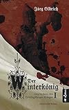 Der Winterkönig. Geschichten des Dreißigjährigen Krieges: Historischer Roman - Jörg Olbrich 