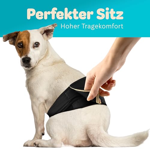 HUND IST KÖNIG Hundewindeln für Rüden [3 STK] Saugstarke Hundewindeln Rüde | Bequeme Hunde Windeln bei Inkontinenz Hund - Umweltfreundliche Rüdenwindel waschbar | Hundewindel leicht zu reinigen