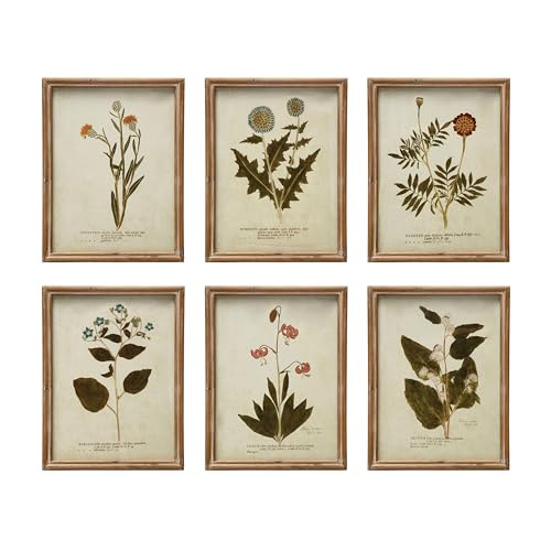 Creative Co-Op Wood Framed Portraits of Botanical Prints, Multicolor, Set