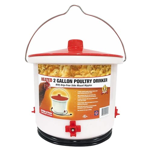 Farm Innovators 2 Pack Heated Chicken Waterer, Poultry Drinker Bucket, 2 Gallon - Thumbnail 4