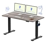 FLEXISPOT EN1 One-Piece Standing Desk with 1-Inch Thick Desktop, 55"x28" Electric Height Adjustable Desk for Home Office & Multi-Device Workstations, Gray Wood