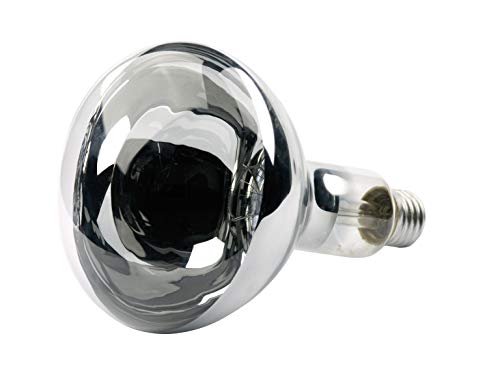 Lâmpada Incandescente de Secagem 250W 220V Ourolux