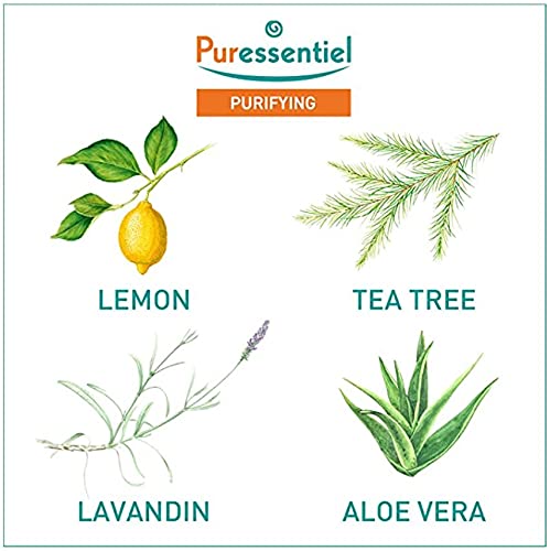PURESSENTIEL - Purifying Antibacterial Gel - Hand Sanitizer and Moisturizing Gel with 3 Essential Oils & Aloe vera - Kills harmful germs and bacteria in 30 seconds - 80 ml