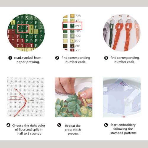 Image of FREEBLOSS Cactus Cross Stitch Kit Cross Stitch Starter Kit for Adults with Instructions 13 * 17'' Pure Cotton Cloth Cross Stitch for Beginnrs Cross stitch Wall Hanging No Frame
