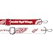Littlearth Detroit Red Wings NHL Clear Satchelette with 3D Logo