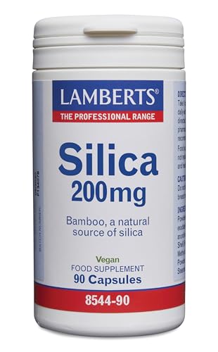Lamberts Silicio 200 mg - 90 Tabletas