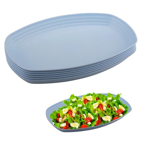 Velicber 6 Pièces Assiette Plastique Reutilisable de 29.7 cm Assiettes Plastique de Camping,...