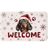 DSHFG Christmas Wiener Dog Mats Welcome Mat Front Door Mats, Christmas Indoor Entrance Floor Mats...